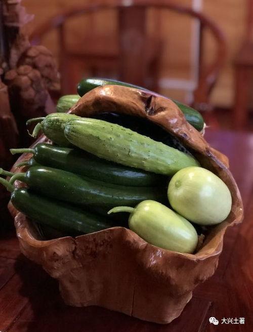 网红吃瓜红姐,揭秘娱乐圈幕后真相，带你领略“瓜界”风云