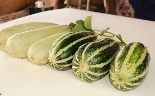 网红吃的软瓜叫什么,软瓜的独特风味与魅力