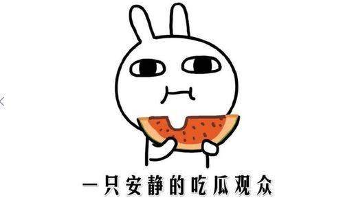 吃瓜网啥意思,网络热议背后的真相与趣味