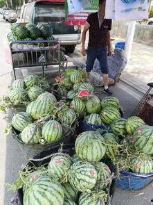 三亚网红吃瓜事件