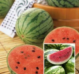 吃瓜四大网红是哪四个人,揭秘吃瓜四大网红的神秘面纱”