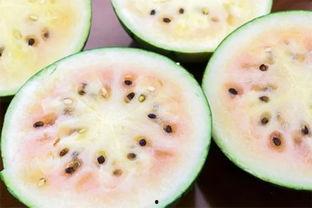 爱可可网红吃瓜图片高清,爱可可美食图片高清大赏